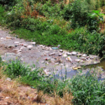 Contaminación del canal en Parque Industrial Benito Juárez genera alarma