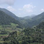 La disputa por la libertad tras exigir precios justos en la producción del café