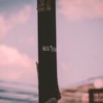 Cinco años para no ceder